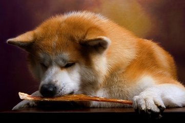 imtoken钱包最新版本