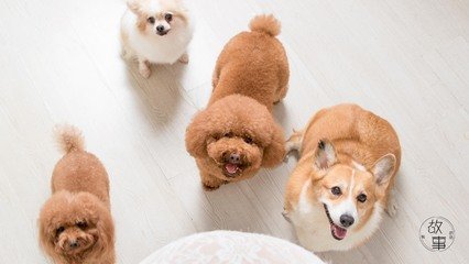 比特币钱包地址生成错误