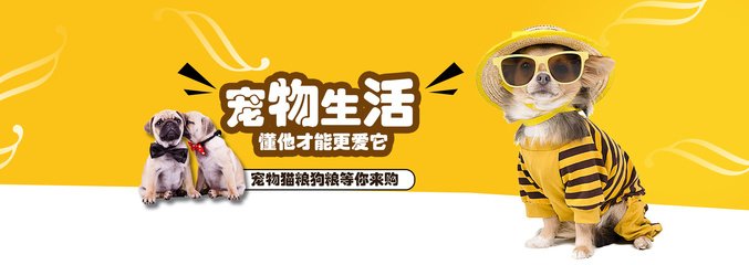 波场钱包