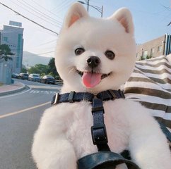 tp钱包历史版本下载